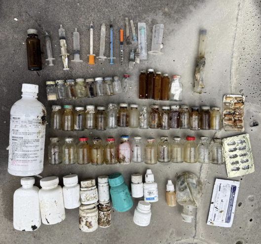 Some of the medical waste collected by Diphda Jeju from the waters off Jeju Island between January and May 2025. [DIPHDA JEJU]