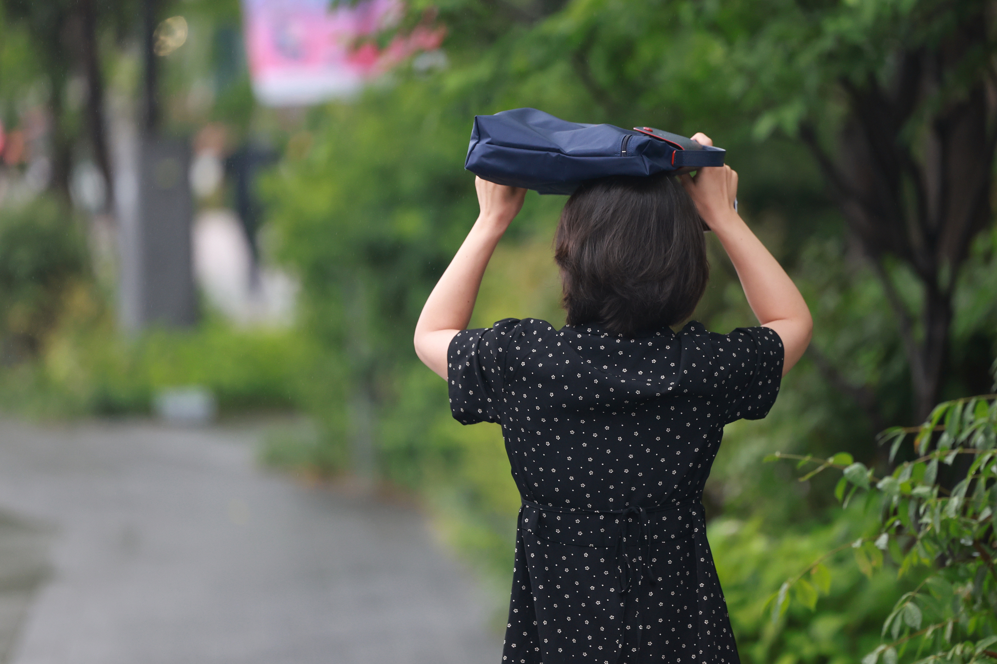 A pedestrian uses a bag to avoid the rain while walking near near Gwanghwamun Square on June 16. [YONHAP] 