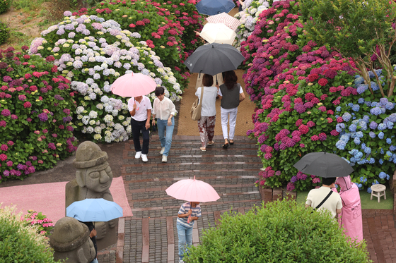 Visitors walk around a garden in Andeok-myeon, Seogwipo, on Jeju Island with umbrellas on June 12, with Korea's monsoon season to start with rain on the island the same day. [YONHAP]