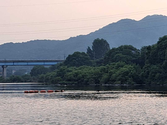 A riverbank of Hongcheon River in Hawagye-ri in Bukbang-myeon in Hongcheon County, Gangwon, where a teenager went missing on June 16 [YONHAP] 