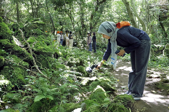 Participants experience the Hwasun Gotjawal Forest Trail activity during the tour on June 5. [KOREA JOONGANG DAILY]