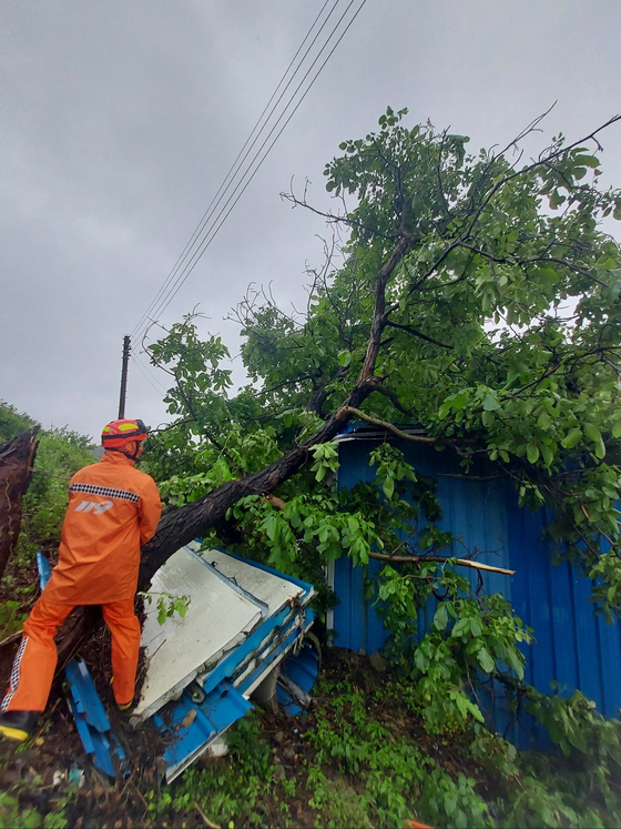 A first responder conducts maintenance after a tree fell on a storage unit in North Jeolla on June 21. [JEONBUK FIRE SECURITY HEADQUARTERS]