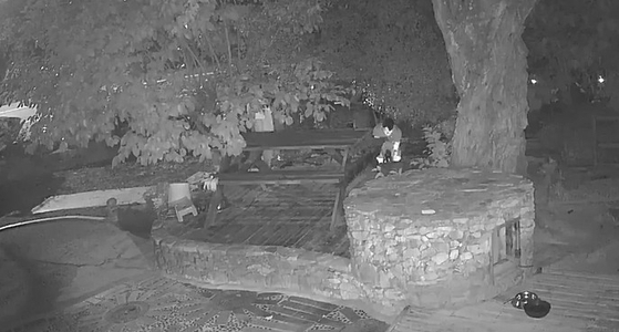 A still from security footage shows a suspect pointing a BB gun at a doghouse and firing multiple rounds in Geoje, South Gyeongsang, on June 8. [YONHAP] 