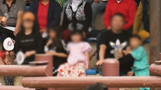 A family with young children watches a bullfight in Cheongdo, North Gyeongsang. [ANIMAL LIBERATION WAVE]