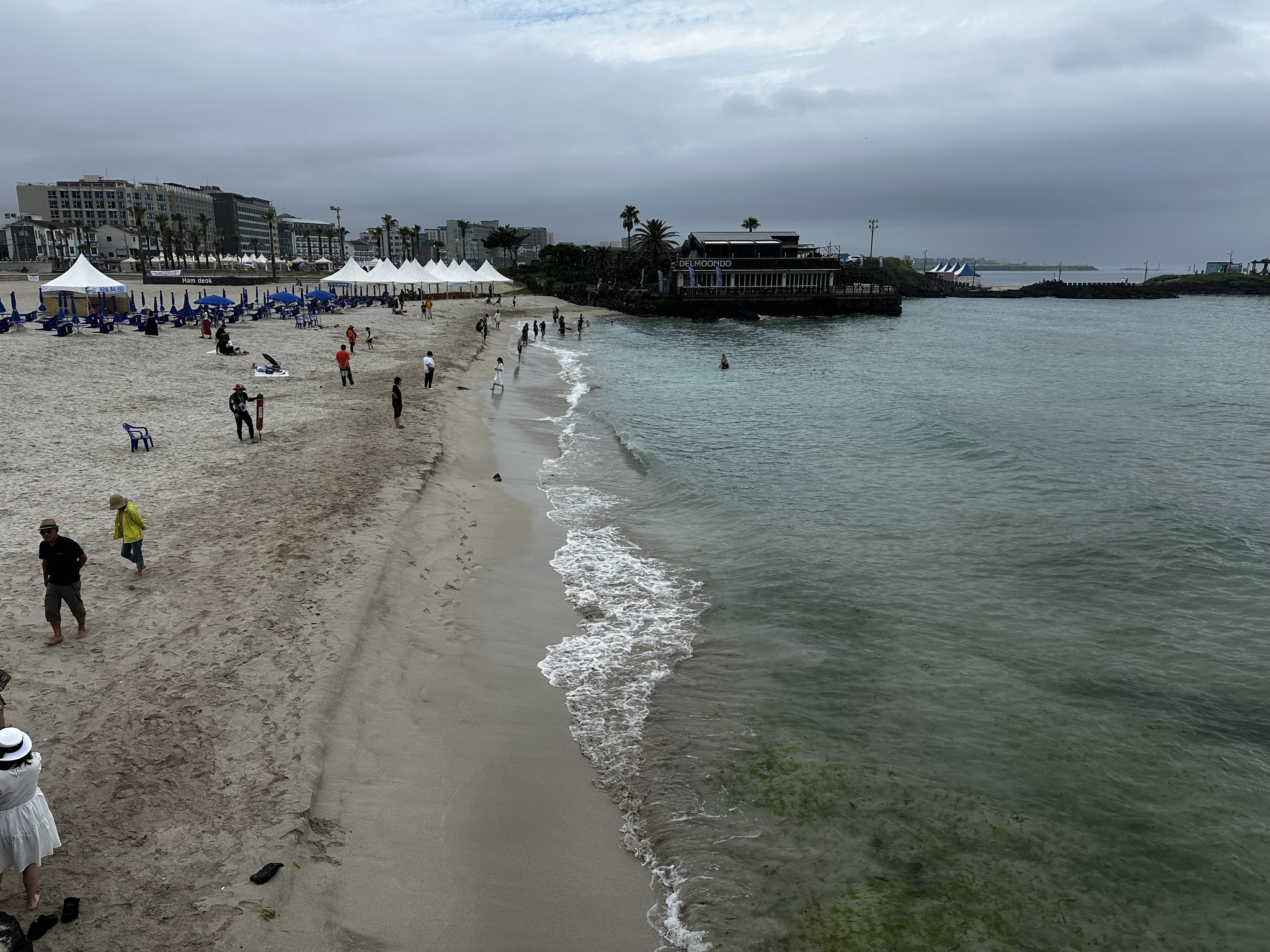 People visit Hamdeok Beach in Jeju on June 24, as green sea lettuce drifts between the waves. [JOONGANG ILBO]