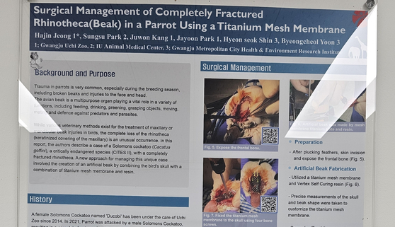 A journal article introducing the procedure for artificial beak surgery on a parrot is posted on the hospital wall inside Uchi Zoo in Buk District, Gwangju on June 28. [JEONG EUN-HYE]