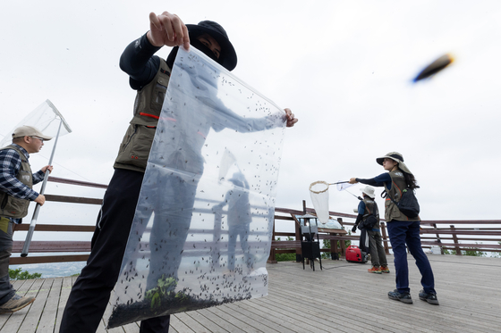 Ministry of Environment and related agencies' officials work with blowers and water sprayers during a pest control operation on lovebugs on Mount Gyeyang in Incheon on July 4. [MINISTRY OF ENVIRONMENT]