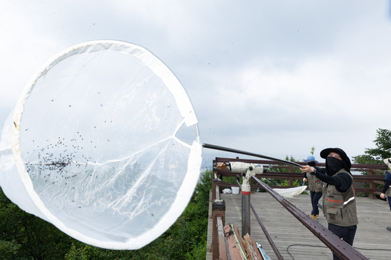 Ministry of Environment and related agencies' officials work with blowers and water sprayers during a pest control operation on lovebugs on Mount Gyeyang in Incheon on July 4. [MINISTRY OF ENVIRONMENT]