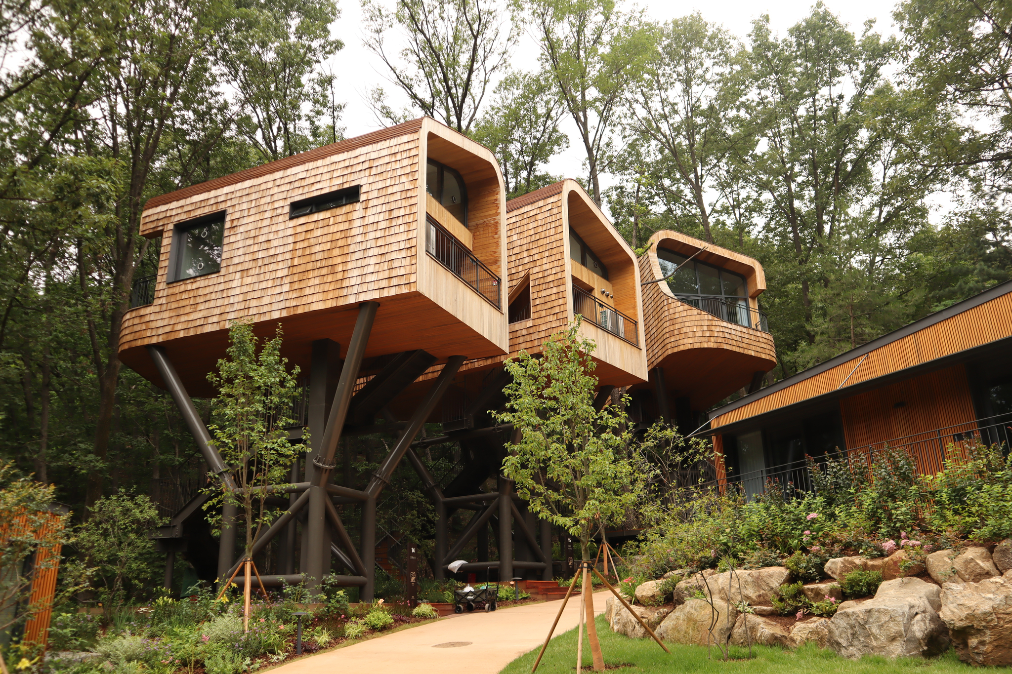 Three tree houses at newly built relaxation village Surak Hyu are seen surrounded by lush greenery in Nowon District, northern Seoul, on June 28. [LEE SOO-JUNG]