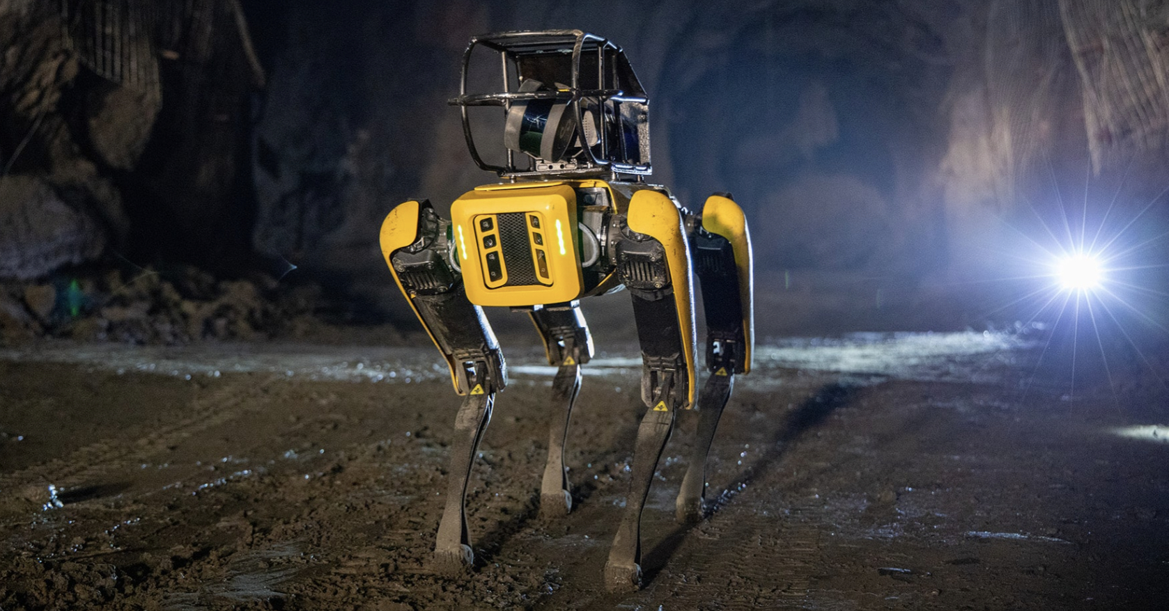 Spot robot dog [BOSTON DYNAMICS]