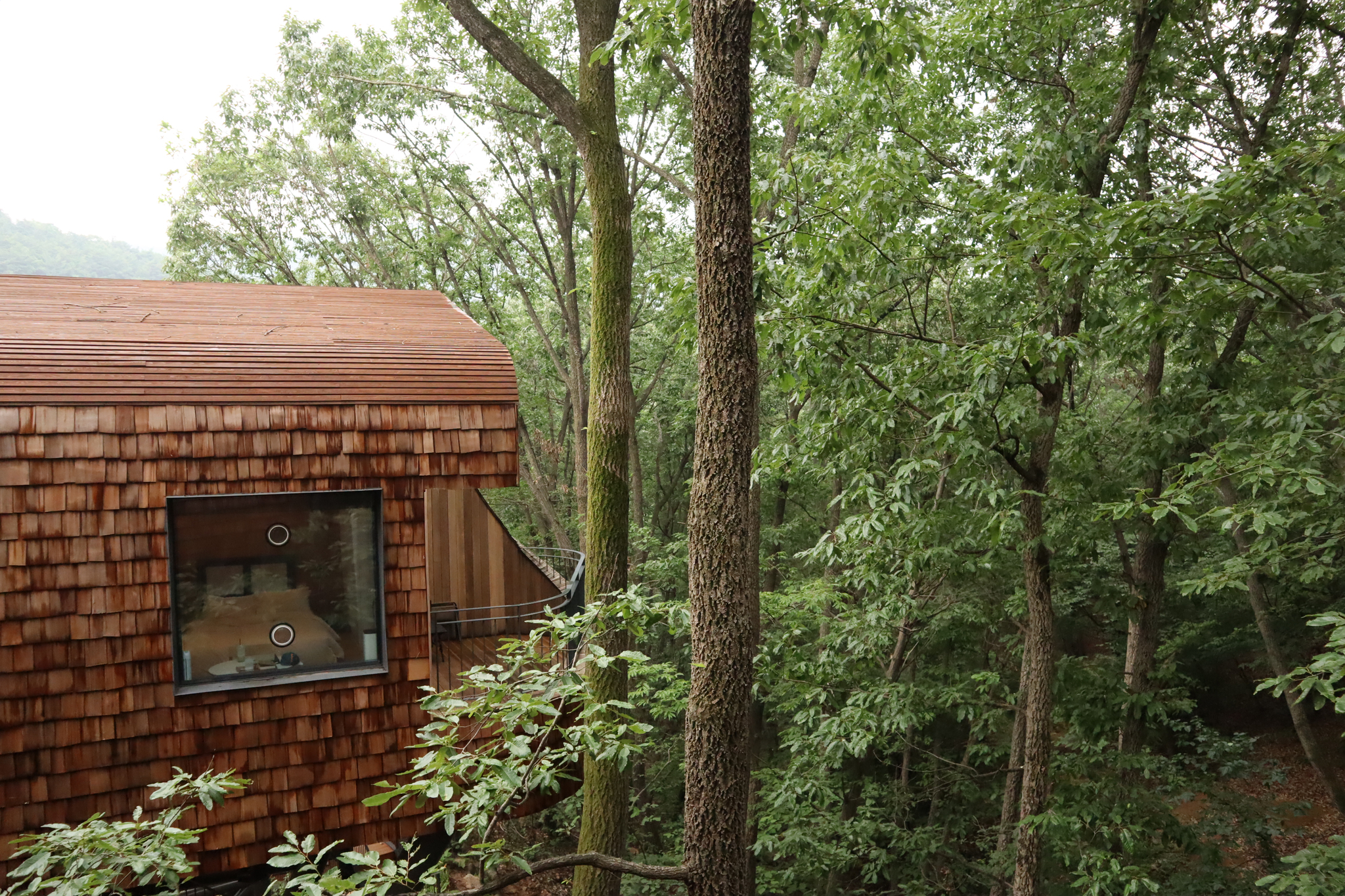 A view of a tree house surrounded by lush greenery at a newly built wellness village, called Surak Hyu, in Nowon District in northern Seoul on June 28. [LEE SOO-JUNG]