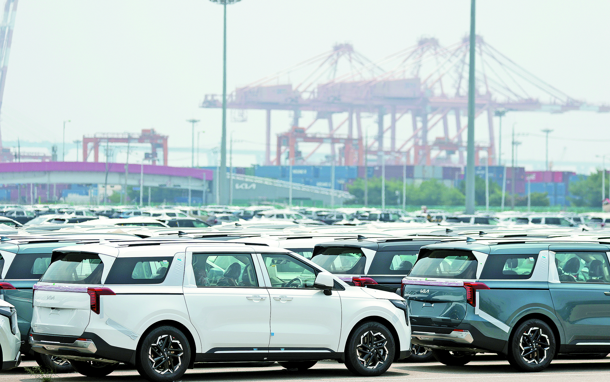 Cars ready for export are parked at a port in Pyeongtaek, Gyeonggi, on July 7. [NEWS1]