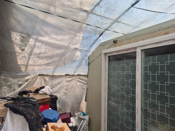 The inside of a vinyl greenhouse in Honeybee Village in Gwacheon, Gyeonggi is seen on July 10. [SHIN HYE-YEON]