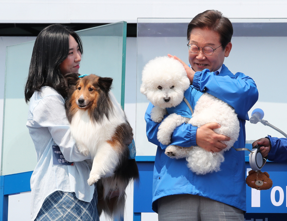 President Lee Jae Myung holds a dog during his presidential campaign in Chuncheon, Gangwon, on May 30. [JOONGANG ILBO]