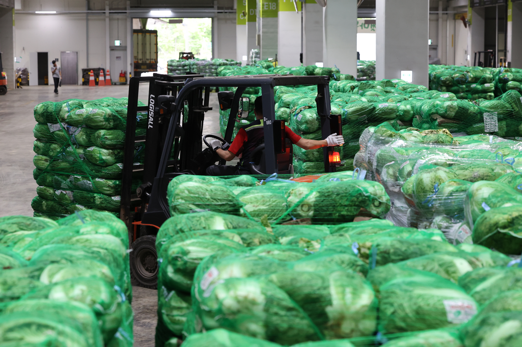 Workers move napa cabbage for auction at Garak Market in Songpa District, southern Seoul, on July 15. [YONHAP]