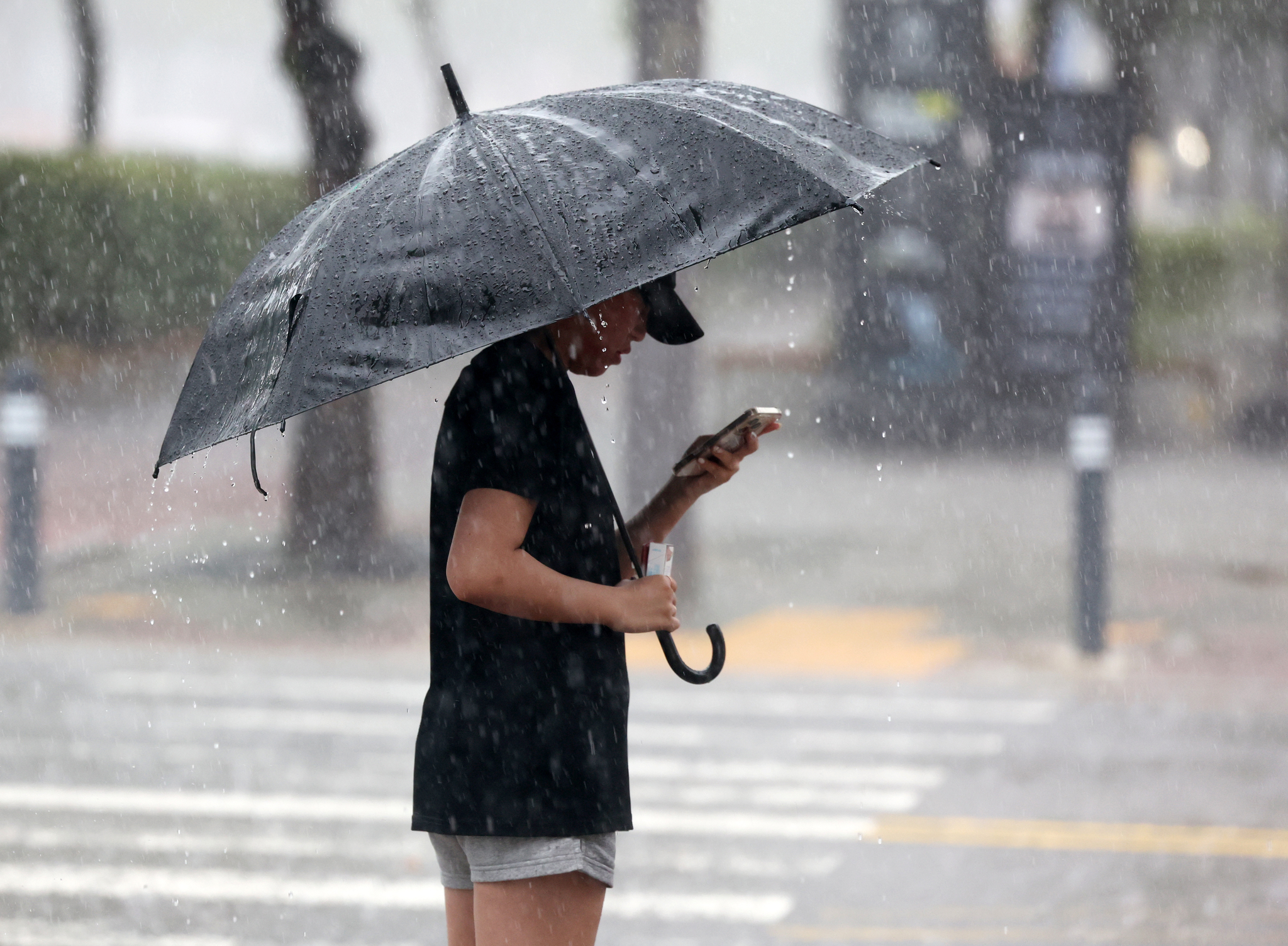 A person wearing an umbrella waits to cross the road in a rainy Seo District, Gwangju, on July 17. [YONHAP]