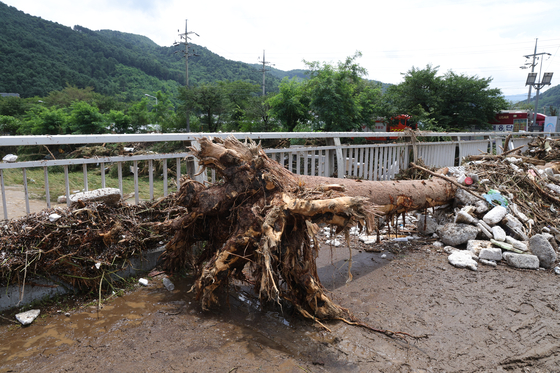 A tree uprooted due to the rain is seen at a road in Gapyeong, Gyeonggi, on July 20. [YONHAP]