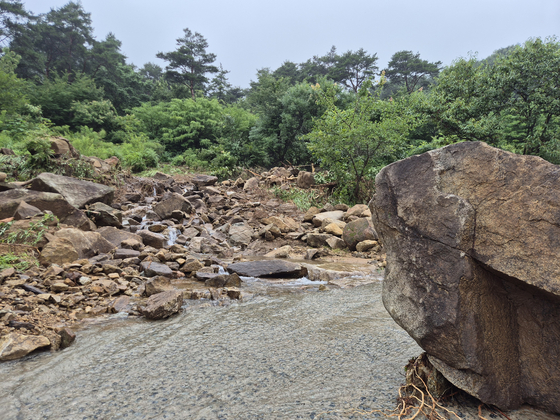 Uprooted trees and boulders scatter the inner road of a village in Naeri, Sancheong-eup, around 9:30 a.m. on July 20. [KIM MIN-JU] 