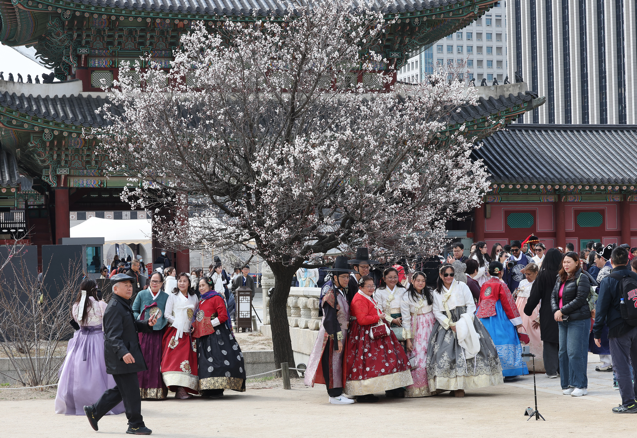 Tourists take commemorative photos at Gyeongbok Palace in Seoul on March 30. [YONHAP]