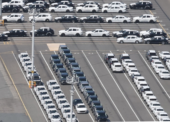 Hyundai Motor cars are waiting for exports at a port in Ulsan on July 28. [YONHAP]