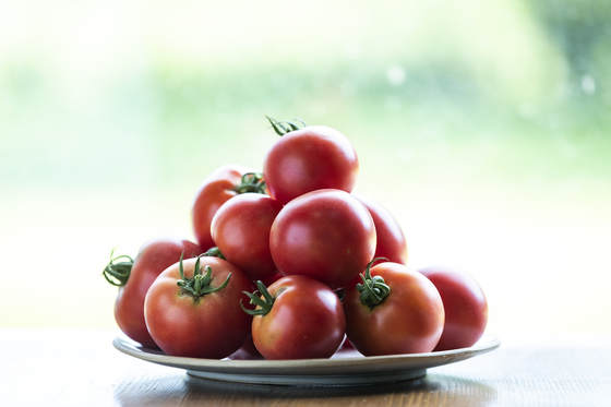 Tomatoes [JOONGANG SUNDAY] 