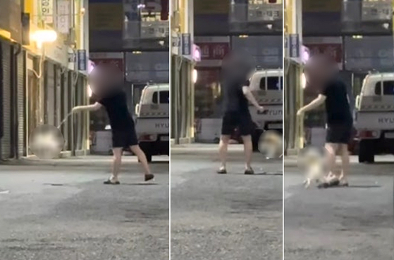 Scenes from a video showing a man appearing to abuse his dog [SCREEN CAPTURE]