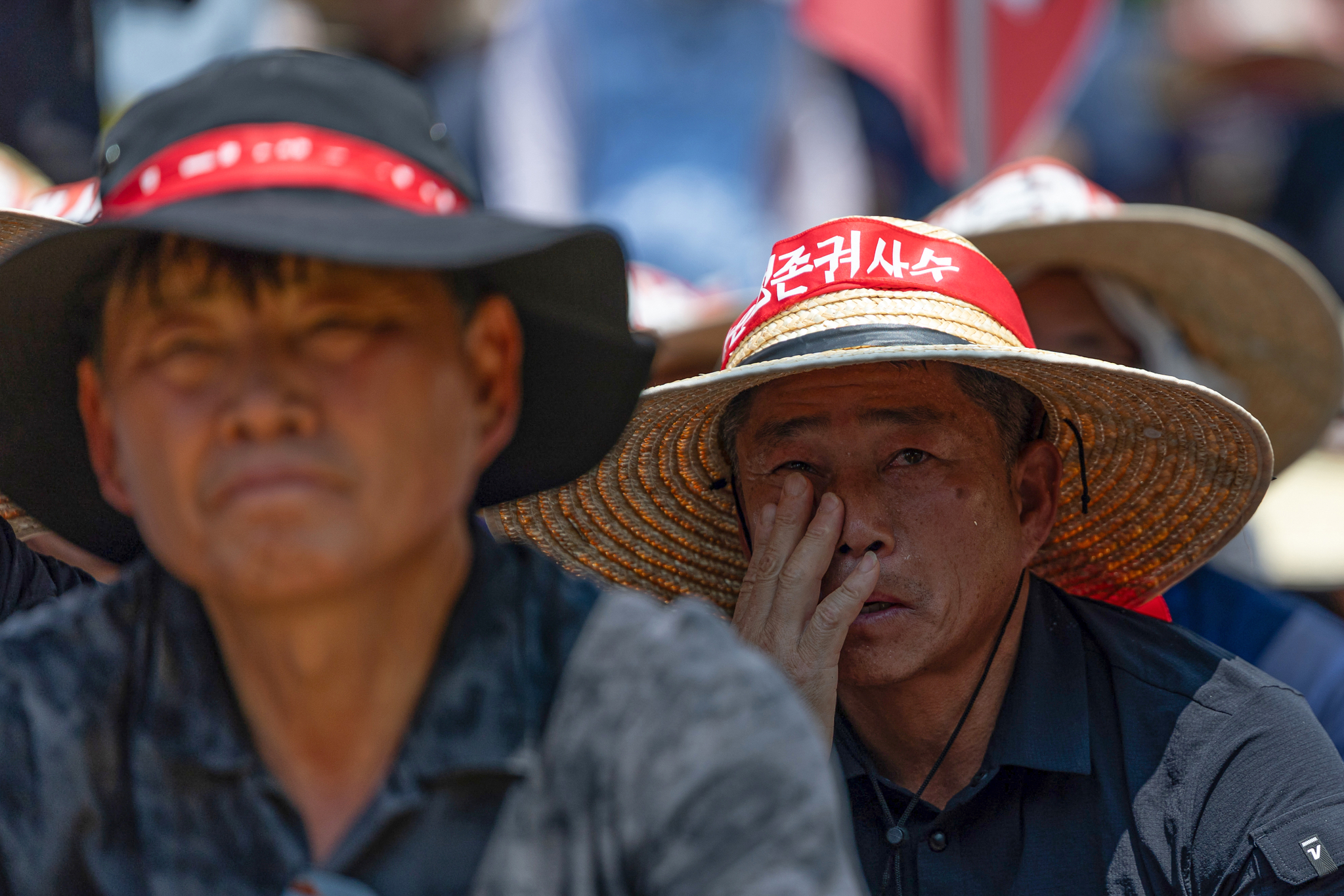 Agriculture industry civic groups and farmers attend a rally protesting the removal of livestock and agricultural product barriers in the Korea-U.S. tariff negotiations on a street in Yongsan District, central Seoul, on July 25. [NEWS1]