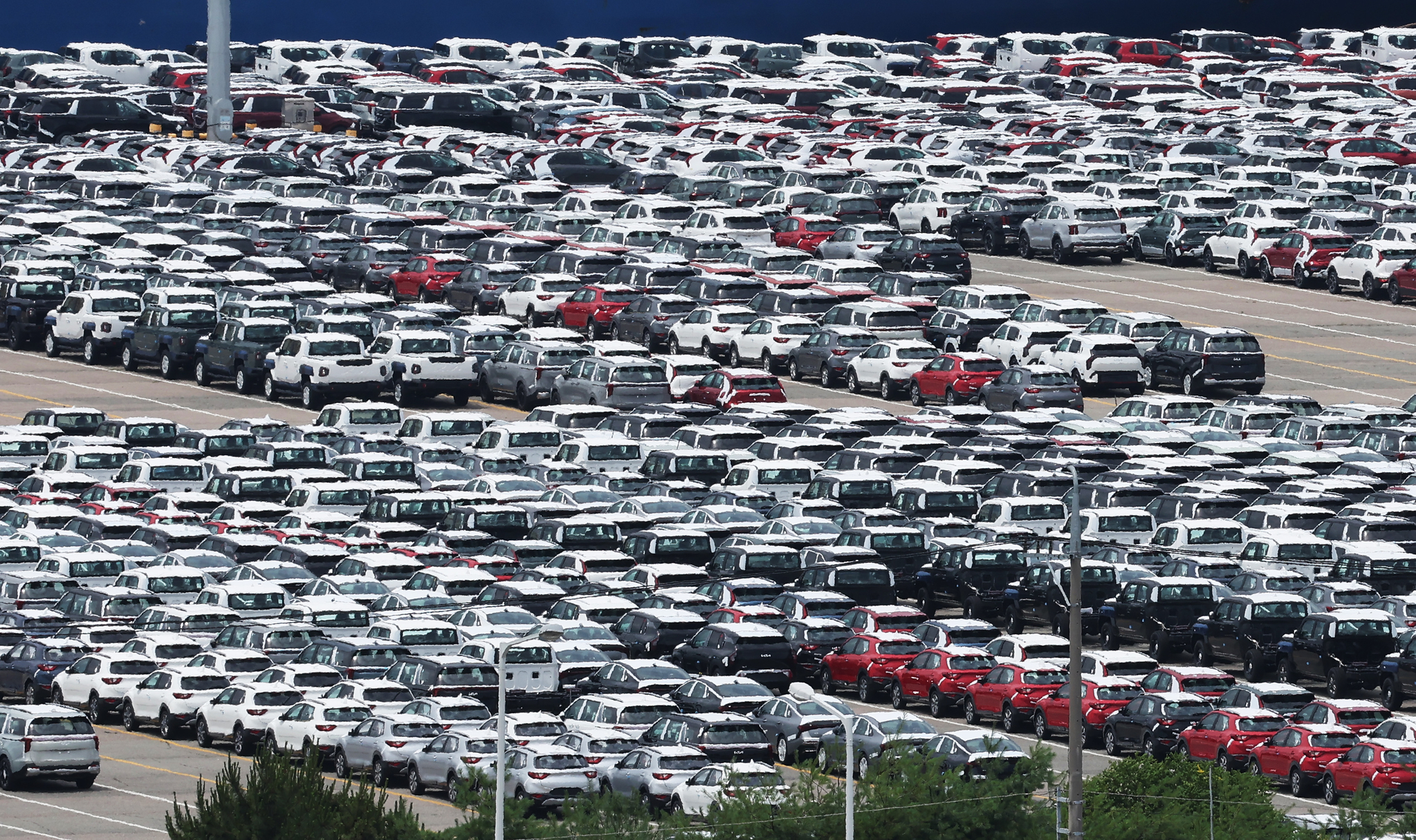 Export-ready cars are parked at a port in Pyeongtaek, Gyeonggi on June 30. [YONHAP]