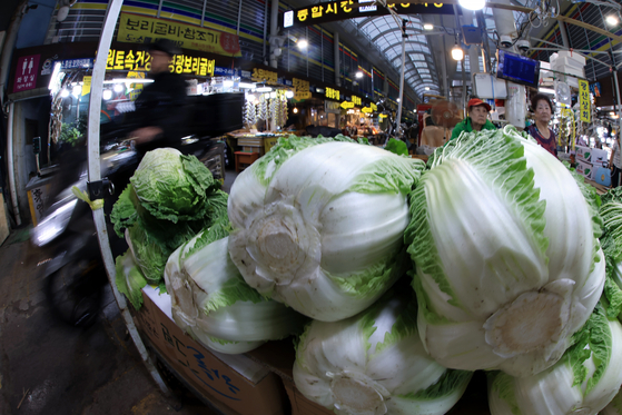 Napa cabbage is for sale at a traditional market in Dongdaemun District, eastern Seoul, on Aug. 6. [NEWS1] 