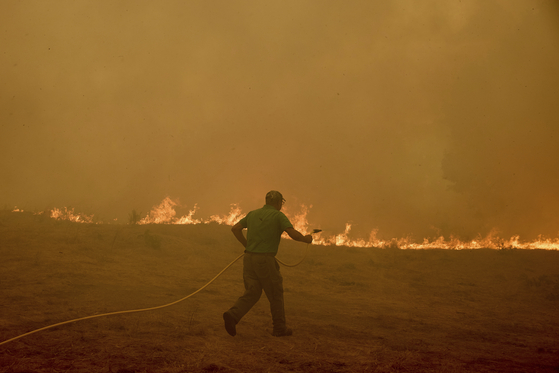 Residents battle a fire advancing toward Rebordondo village, near Ourense, on Aug. 18. [AP/YONHAP]