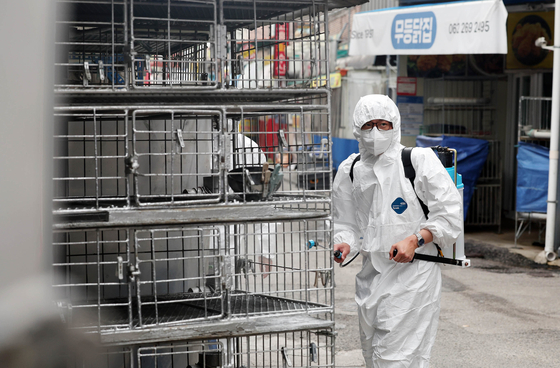 Authorities from Buk District Office in Gwangju conduct emergency disinfection at a poultry vendor in a traditional market on May 21 to prevent avian influenza. [NEWS1]