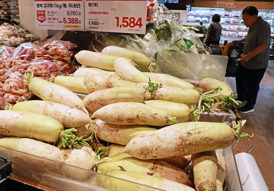 Radishes are piled up at a large supermarket in Seoul on Sept. 14, three weeks before the Chuseok holidays. [YONHAP] 