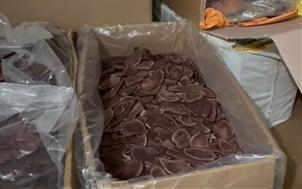 The Ministry of Food and Drug Safety cracked down on vendors who manufactured, sold and distributed deer antlers without a pharmaceutical manufacturing license. The photo shows seized deer antlers. [MINISTRY OF FOOD AND DRUG SAFETY]
