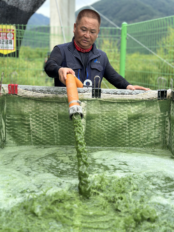 Green algae is sucked up by a removal vessel from the upper reaches of Soyang Lake in Chuncheon, Gangwon [CHON KWON PIL]