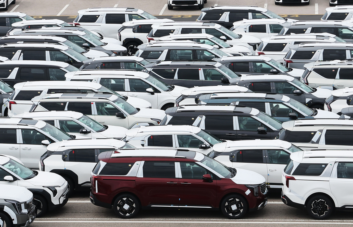 Cars ready for export are parked at a port in Pyeongtaek, Gyeonggi on Sept. 16. [YONHAP]