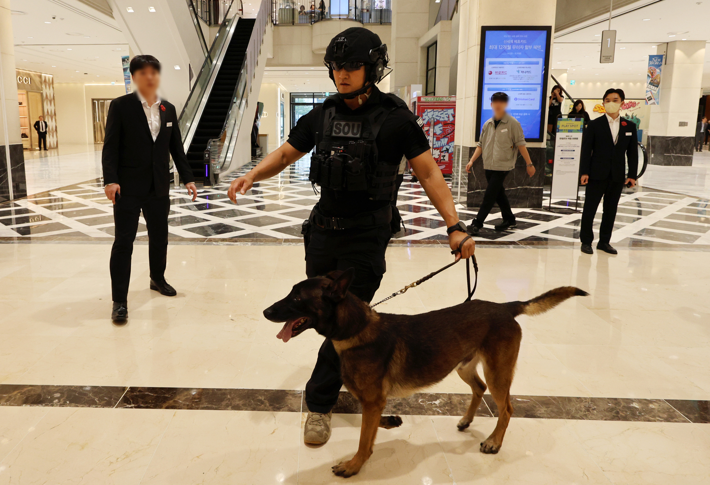 A police special forces detection dog searches for explosives at a department store in Gwangju on Aug. 11. [YONHAP]