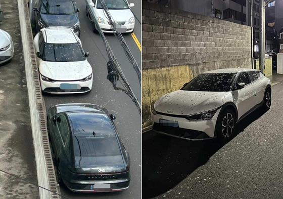 Pictures of cars covered in bird droppings in Nohyeong-dong, Jeju [SCREEN CAPTURE]