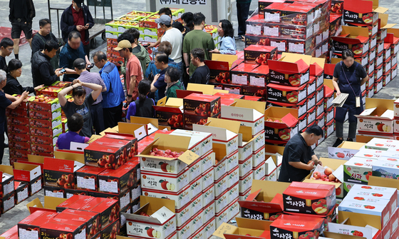 Wholesalers inspect fruit during an auction at Namchon Agricultural Produce Wholesale Market in Incheon on Sept. 24. [YONHAP]