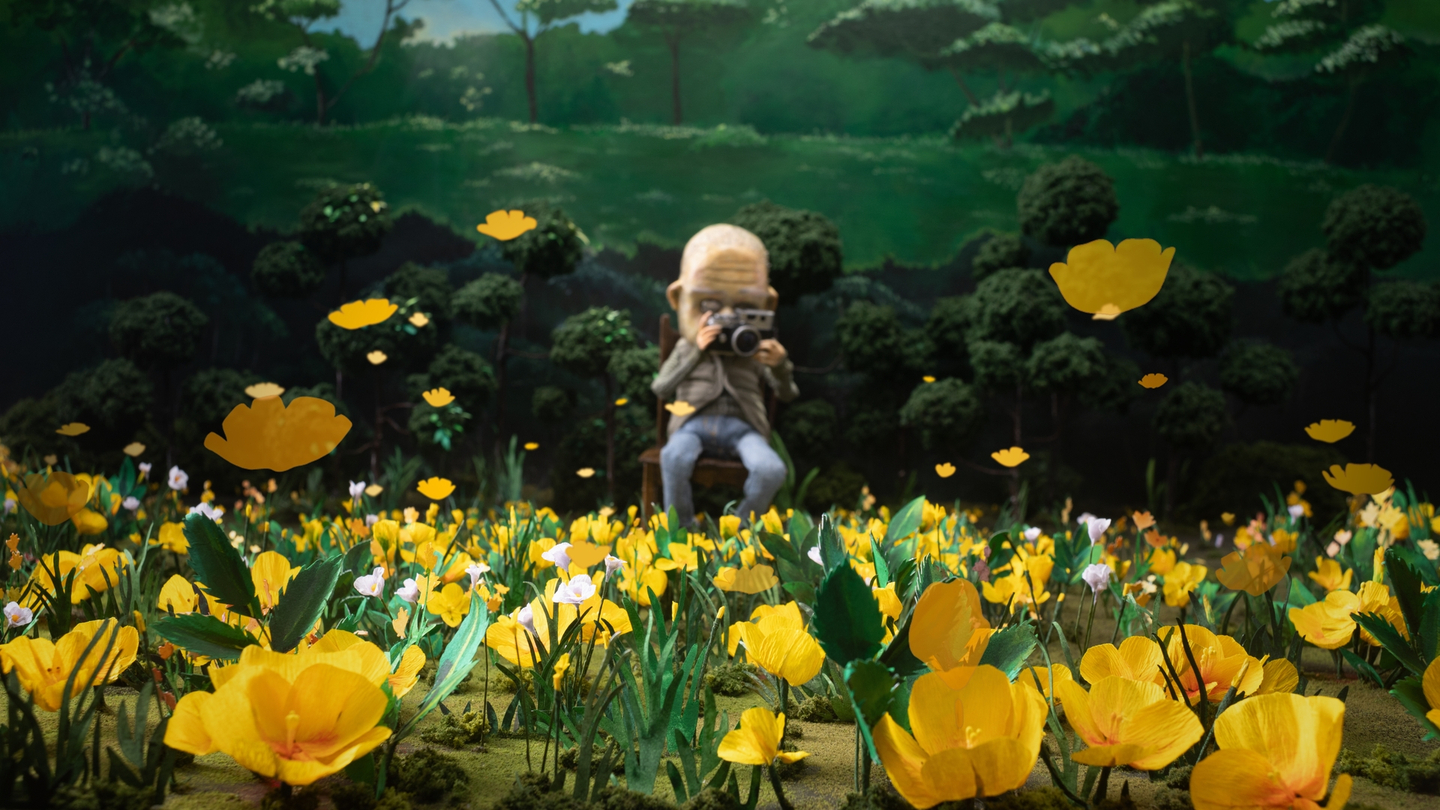 A still from director Yoo Lee's stop motion film ″A Man Who Takes Pictures of Flowers,″ which was invited to this year's Busan International Film Festival [AARON WISE]