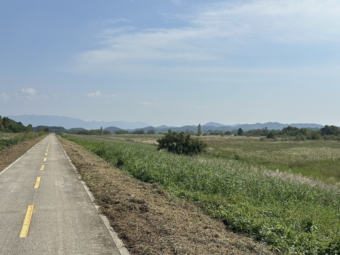 The Nakdonggang Bicycle Path hits a long, straight section south of Daegu on Oct. 1.  [JIM BULLEY]