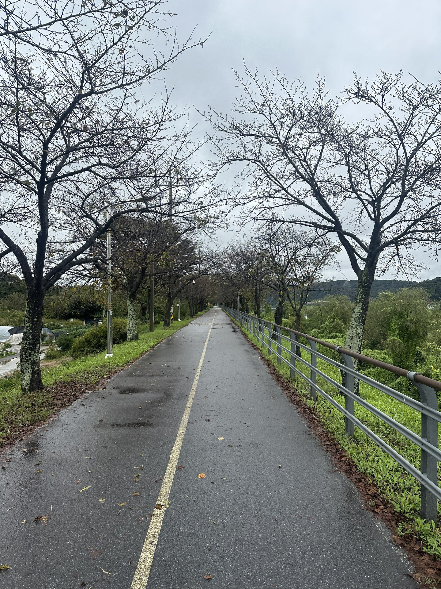 The path out of Yangpyeong, Gyeonggi, pictured here on Sept. 28, is dual purpose, and it's not unusual to see pedestrian blocking the entire width. [JIM BULLEY]
