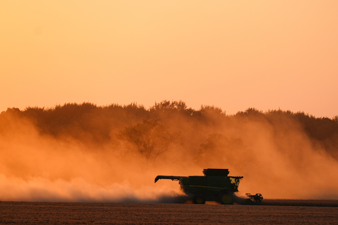 Soybeans are harvested on the Warpup Farm in Warren, Indiana, on Sept. 17. [AP/YONHAP]