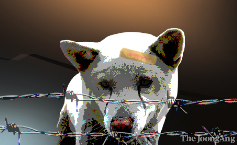 Animal abuse dog illustration [JOONGANG ILBO]