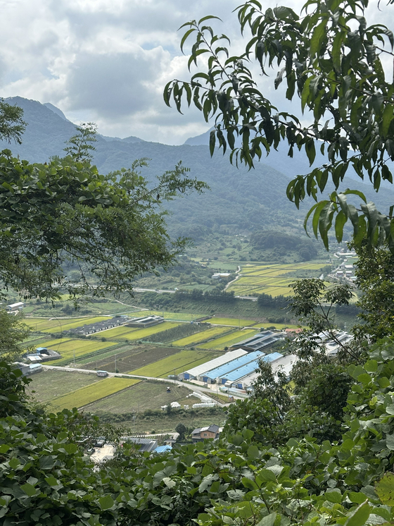 The view from half way up Ihwaryeong on Sept. 29. [JIM BULLEY]