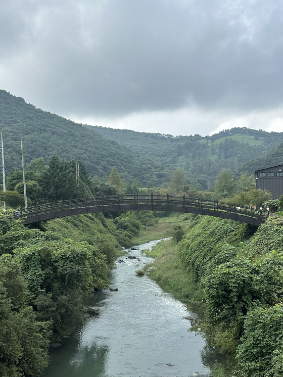 A wooden bridge in Suanbo, North Chungcheong, on Sept. 29.  [JIM BULLEY]