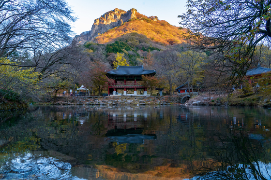 Baekyang Temple in Jangseong County, South Jeolla, is surrounded by fall foliage.[ [JOONGANG ILBO]