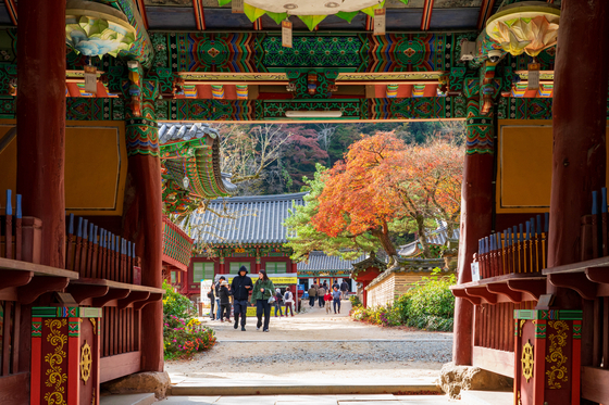 Baekyang Temple in Jangseong County, South Jeolla, is surrounded by fall foliage. [JOONGANG ILBO]