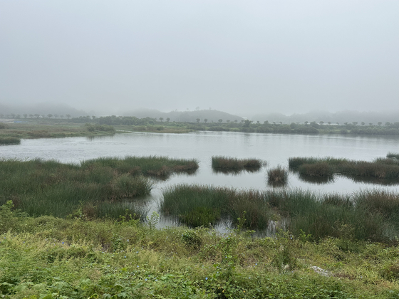 Joryeong Stream in Mungyeong, North Gyeongsang, on a misty Sept. 30 morning. [JIM BULLEY]