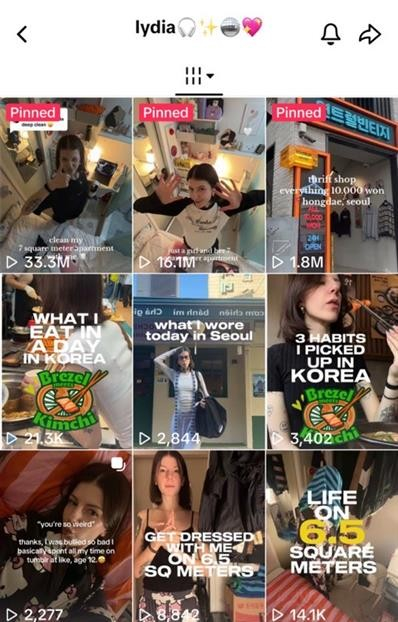A screenshot of Lydia Rouka's TikTok page. One of Rouka's videos featuring gosiwon (small, affordable single-room housing) has garnered over 33.3 million views as of Oct. 28. [SCREEN CAPTURE]