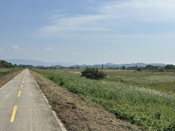 The Nakdonggang Bicycle Path hits a long, straight section south of Daegu on Oct. 1.  [JIM BULLEY]